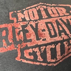 HARLEY DAVIDSON Long Sleeved T-Shirt L/XL Gray Embroidered Eagle